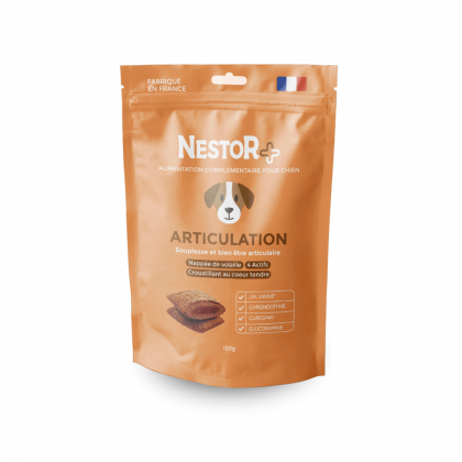 copy of LA FRIANDISE MOELLEUSE POUR CHIEN