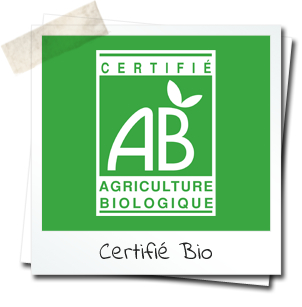 logo AB Bio