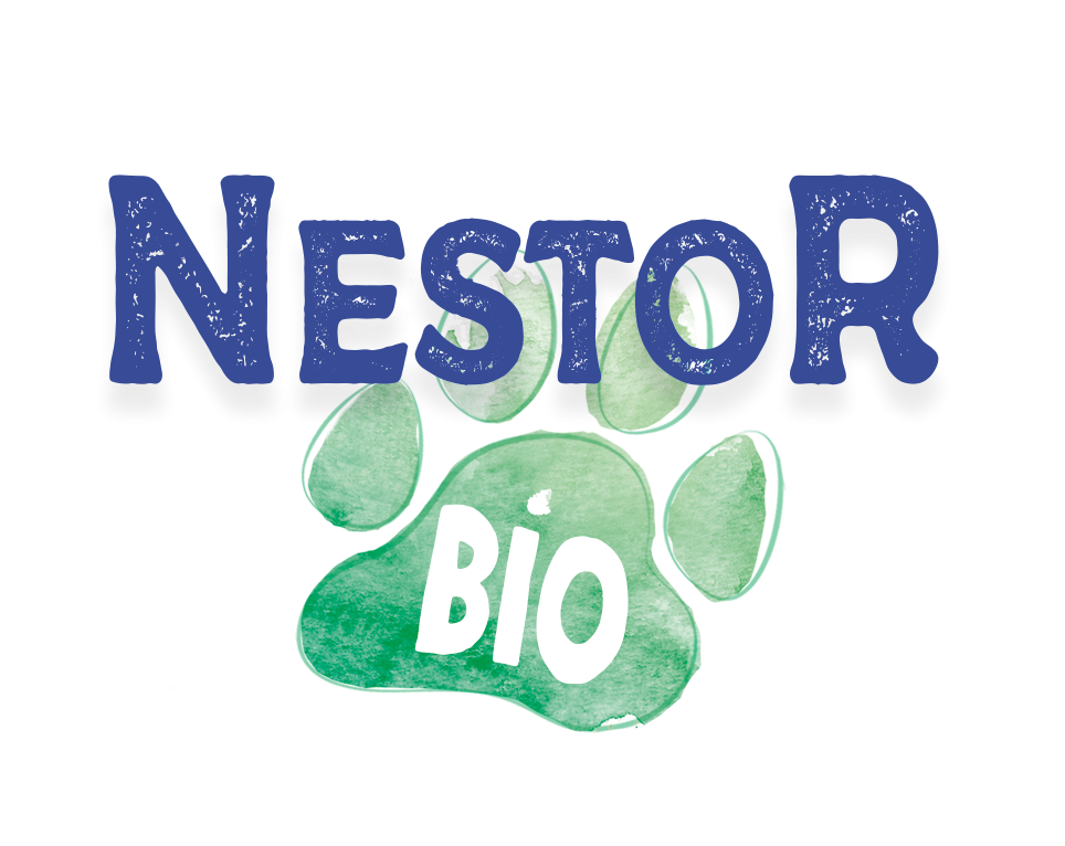 Nestorbio